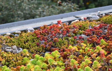 the cost of Catbrain green roof installation