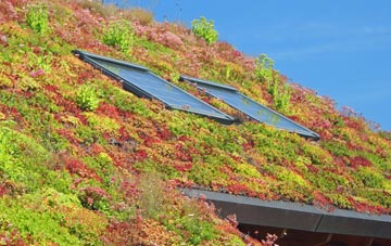 Catbrain living roof systems